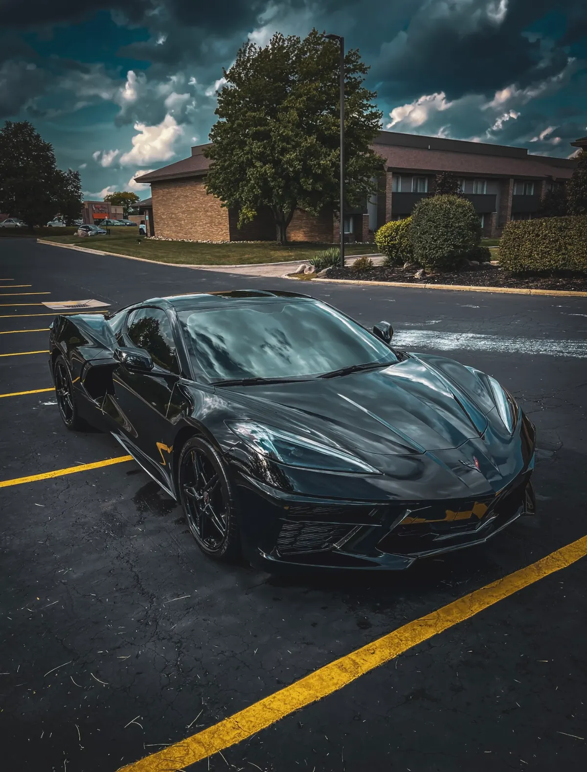 Corvette after paint correction and System X Max G+ ceramic coating by After Hours Car Detailing