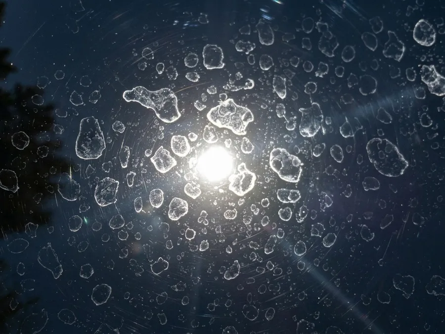 Hard-water mineral spots covering dark glass with the sun behind them, before a hard water spot removal treatment