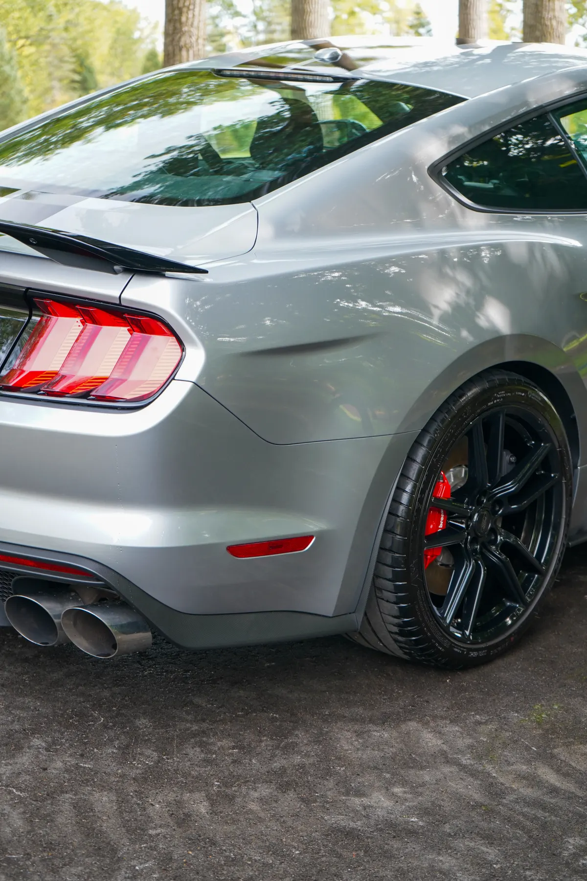 Silver Shelby GT500 after ceramic coating